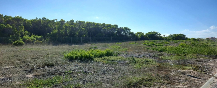 0 Bedroom Property for Sale in Kleinbaai Western Cape